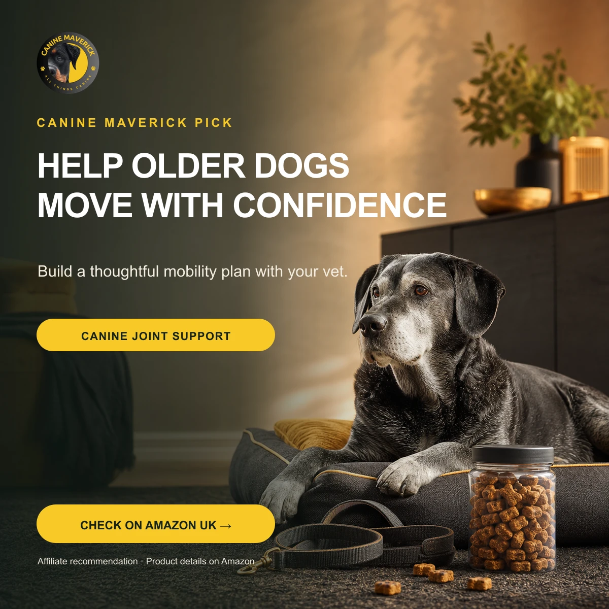 Canine Maverick promotional creative for JointSure joint supplement for dogs