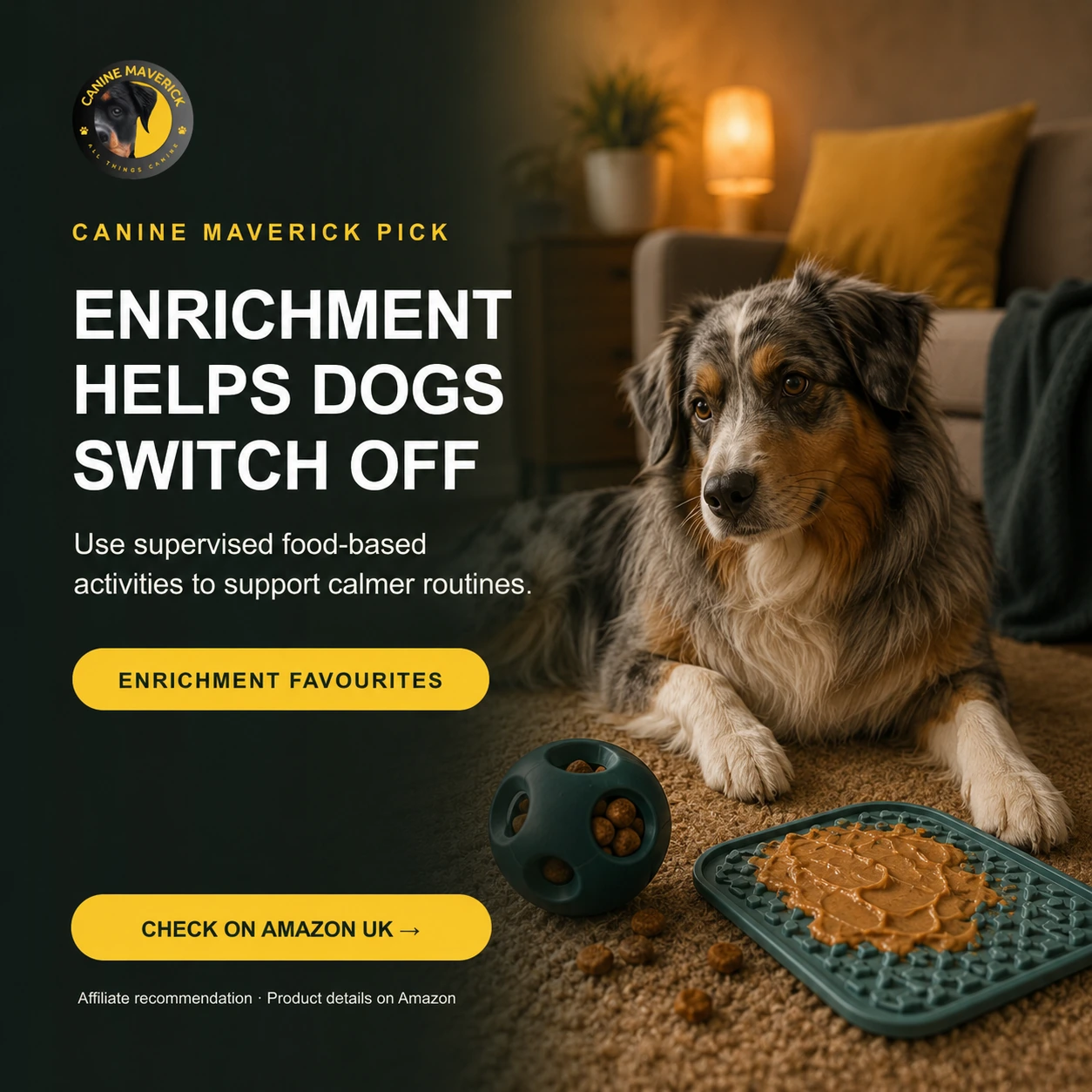 Canine Maverick promotional creative for KONG Extreme X-Large dog toy