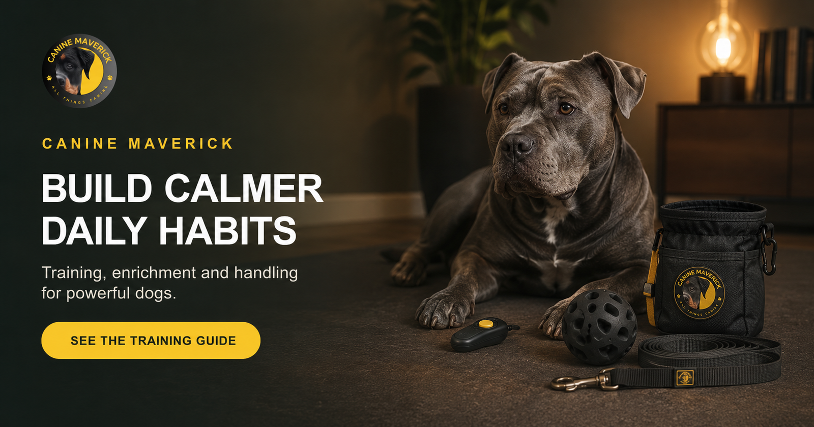 XL Bully Training, Enrichment and Safer Daily Habits