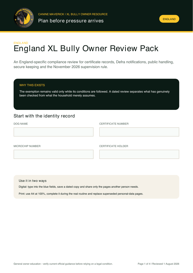 First-page preview of England XL Bully Owner Review Pack