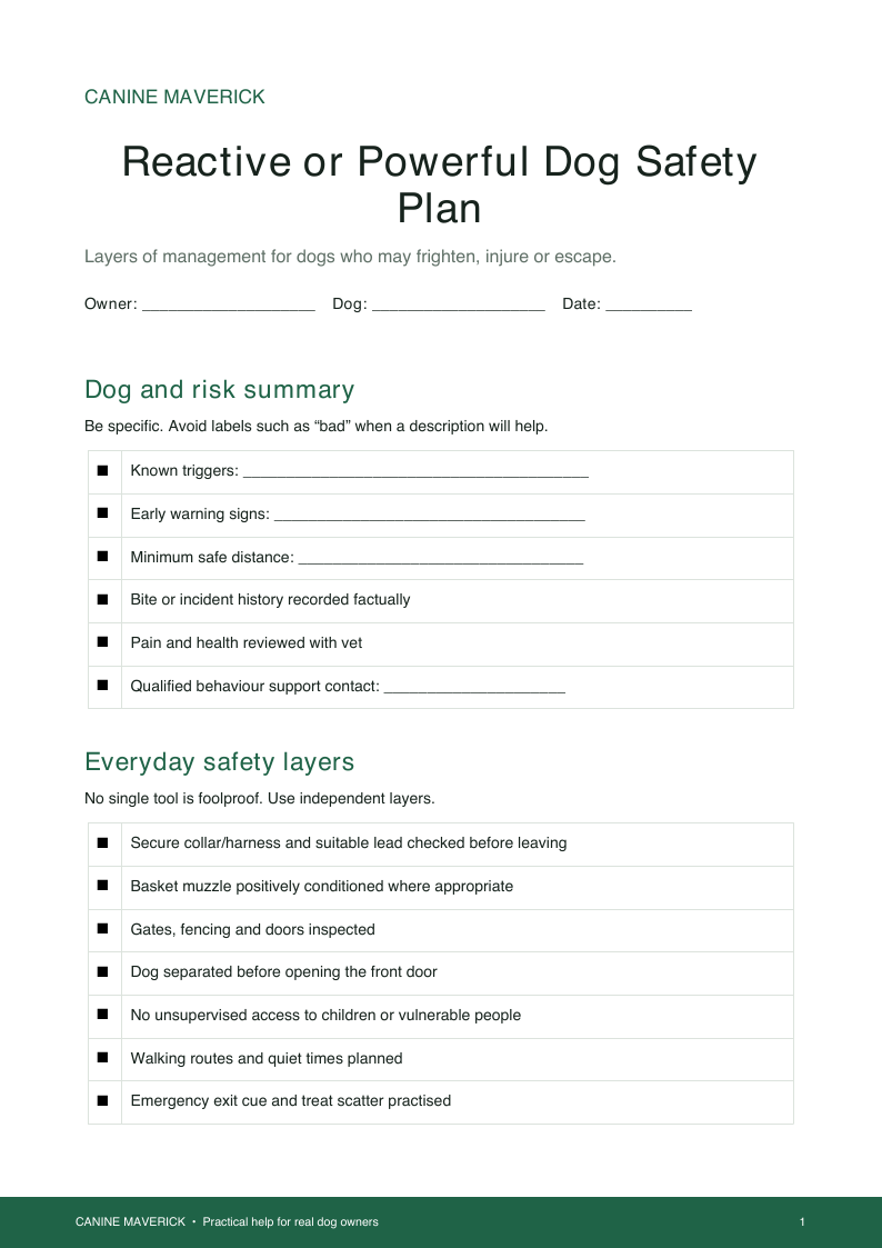 Preview of Reactive or Powerful Dog Safety Plan printable