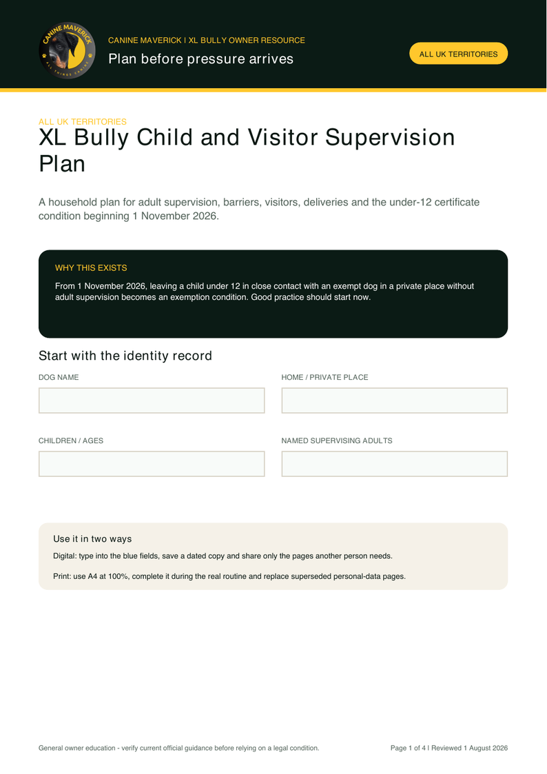 First-page preview of XL Bully Child and Visitor Supervision Plan