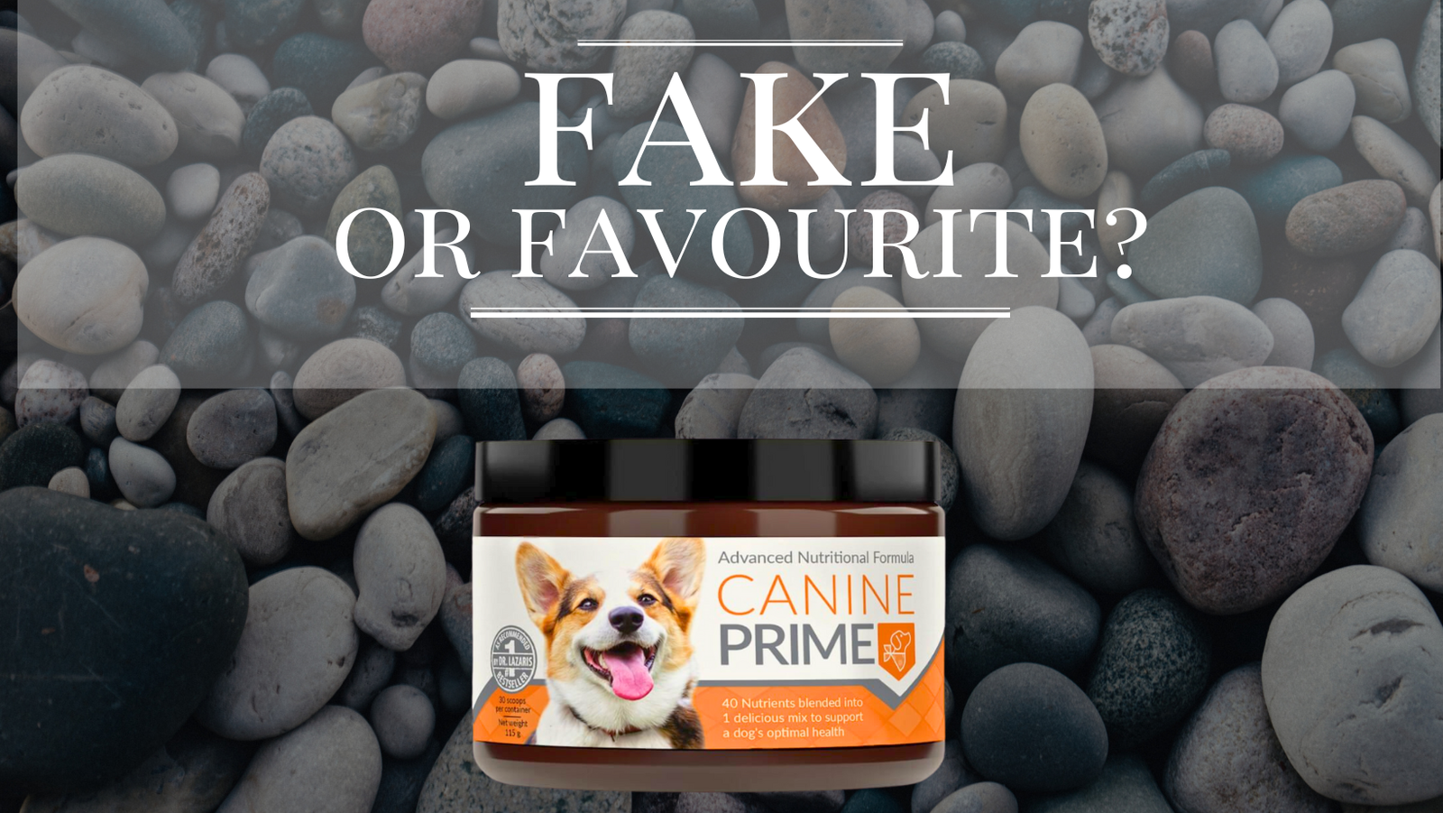 Canine Prime Review: Fake, Favourite or Simply a Supplement?