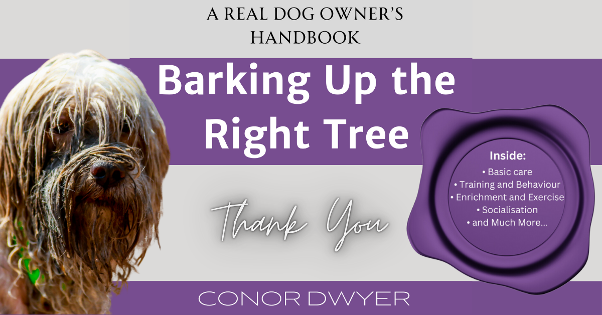 Puppy Toilet Training Troubleshooting: Fix the Pattern, Not the Pup
