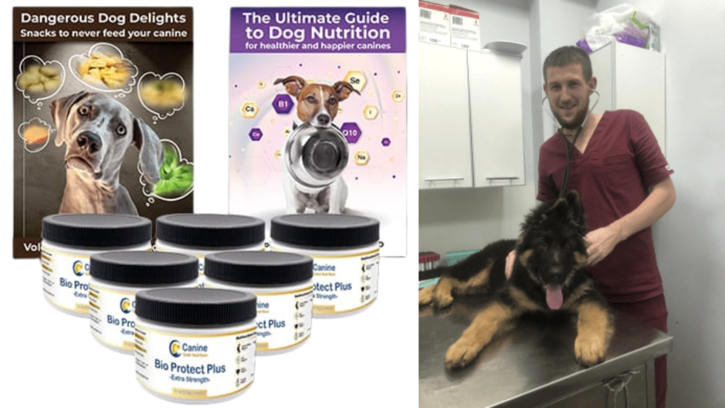 A promotional image for a dog nutritional supplement for healthier an happier canines