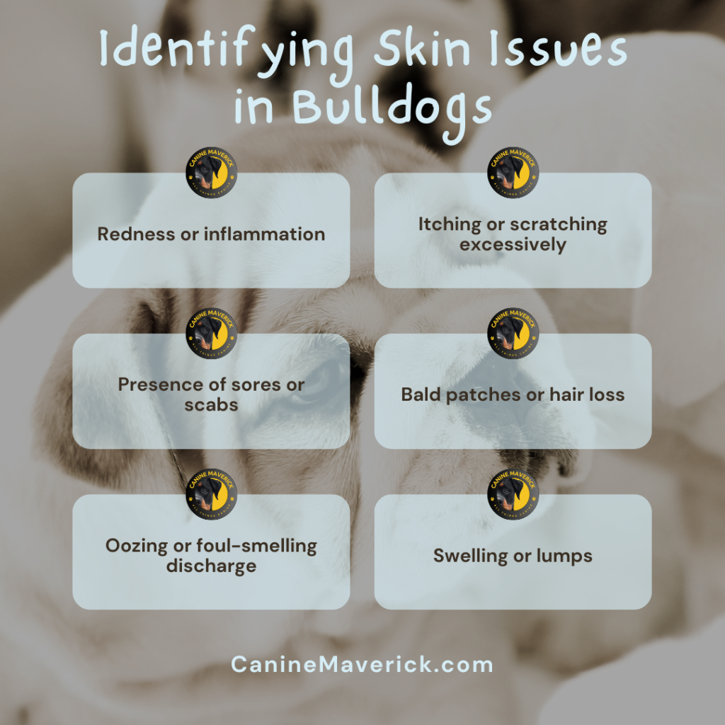 An image displaying a list of symptoms for skin issues in bulldogs